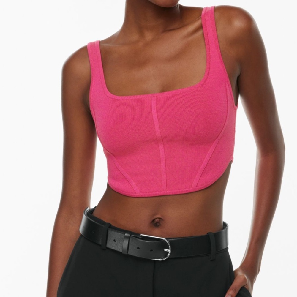 Babaton sculpt knit bustier top